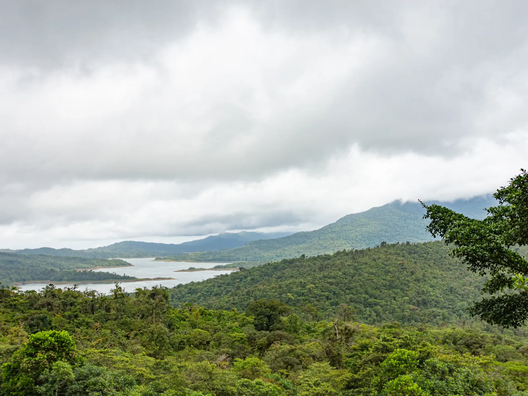 Tropical forest and water landscape as the territorial basis for nature projects