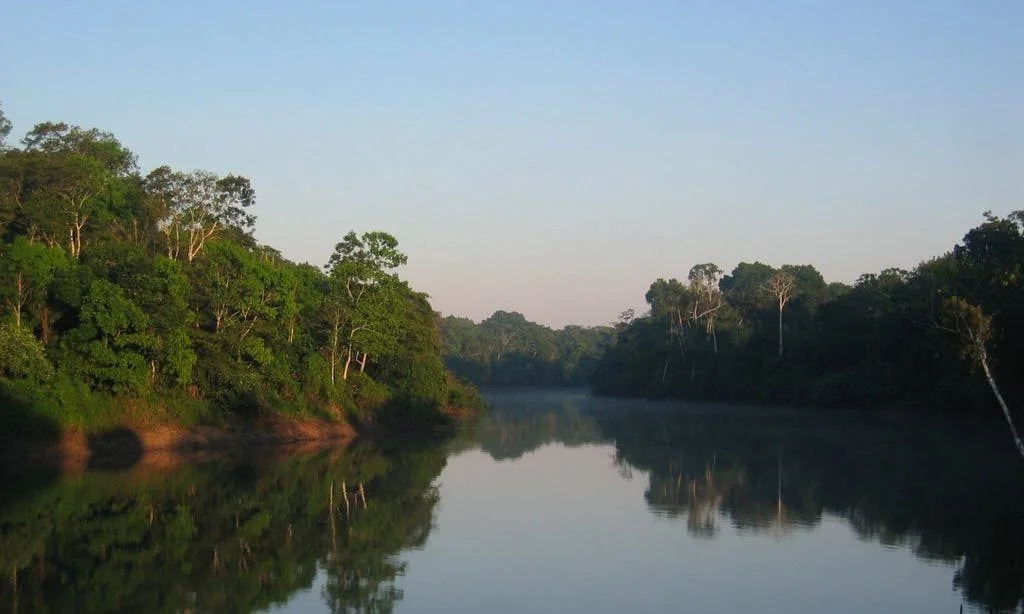 River surrounded by forest as a territorial natural asset